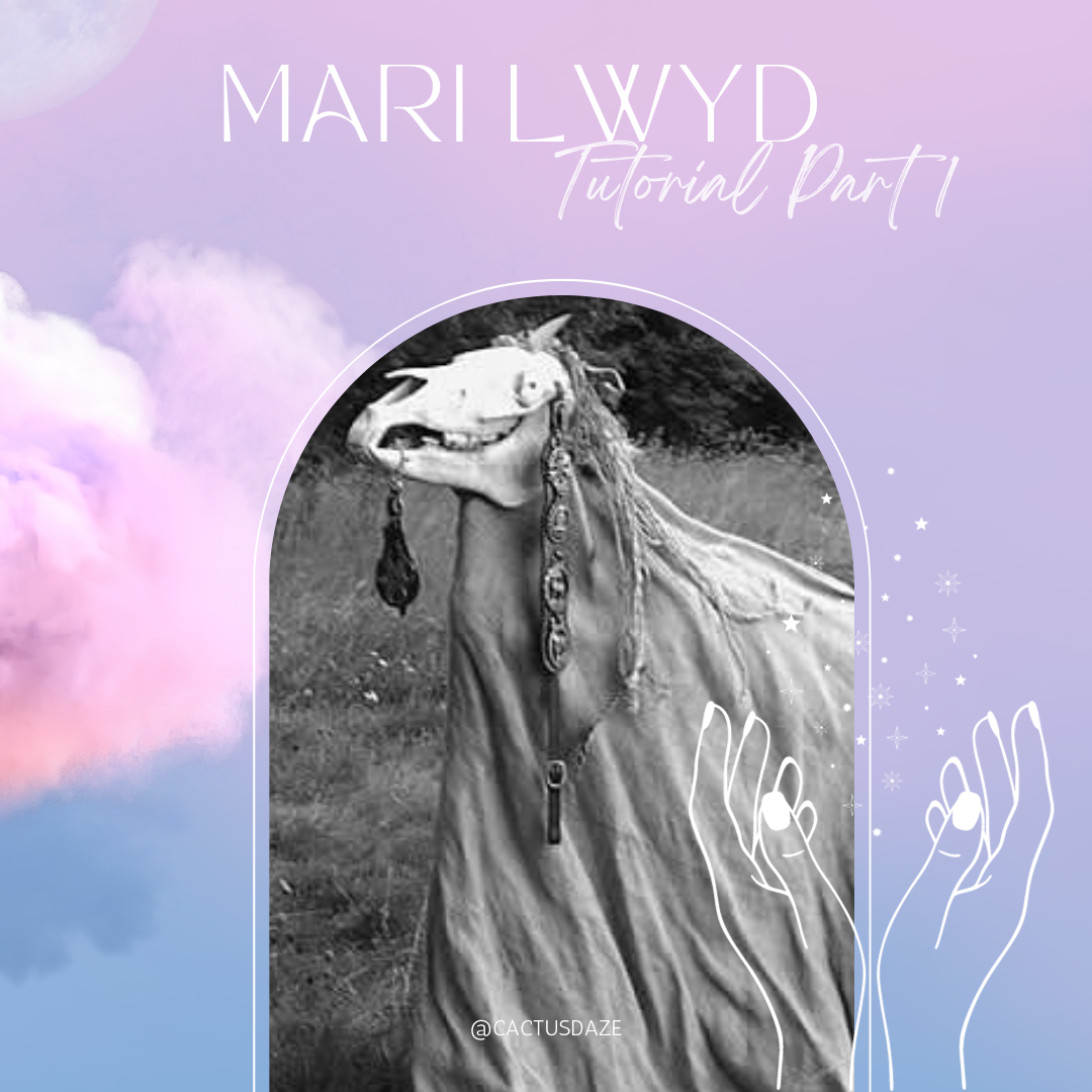 Mari Lwyd Tutorial: Part 1